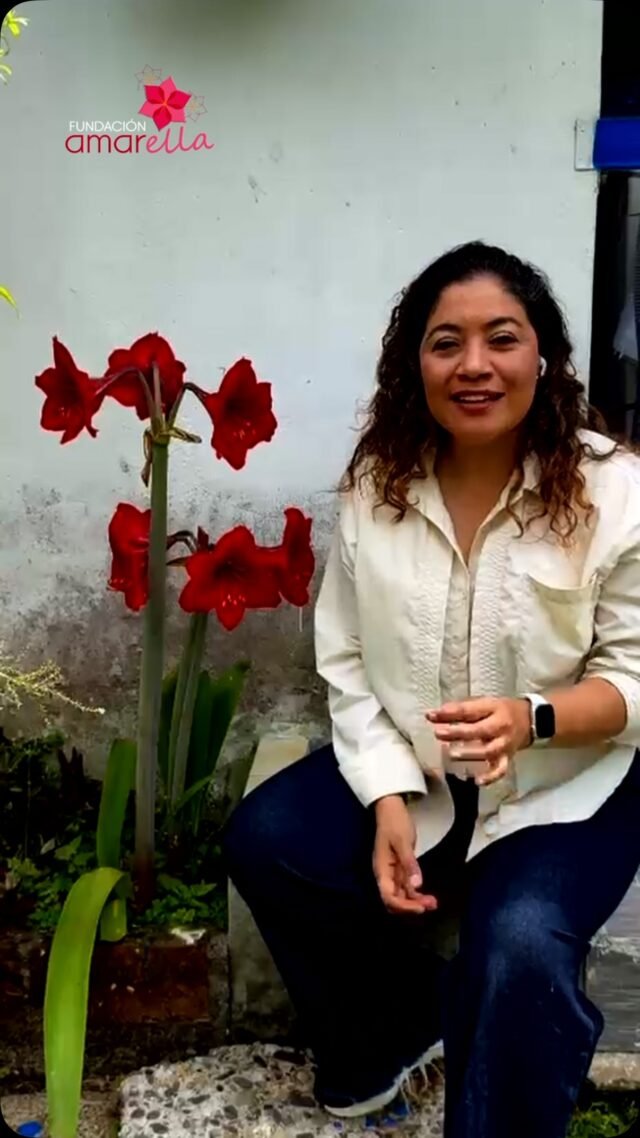 🌺 *Todo tiene un origen.*

La flor Amaryllis nos inspiró por su belleza y su capacidad de florecer. Así nació el símbolo de la Fundación Amarella: una flor que representa nuestro propósito de acompañar a las mujeres rurales a *crecer, fortalecerse y florecer.* 🌱